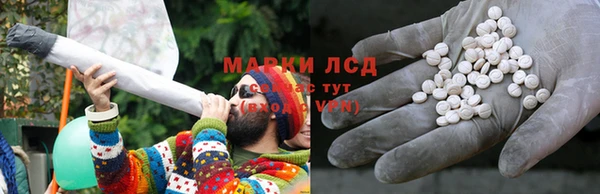 трава Бородино