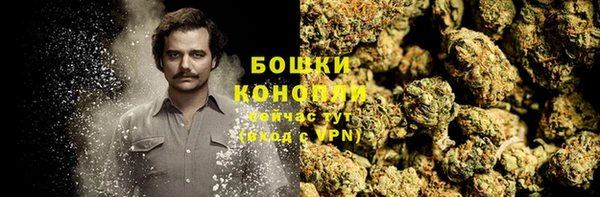 трава Бородино
