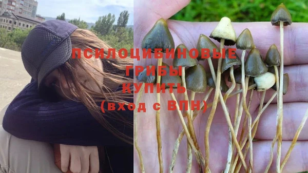 a pvp Бронницы