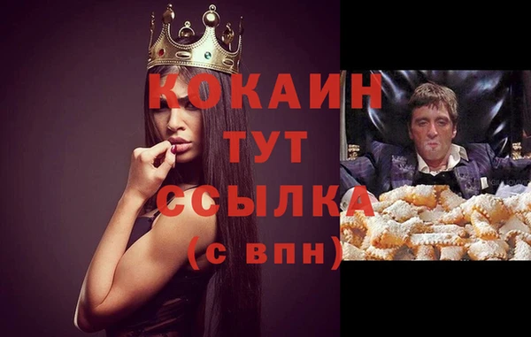 трава Бородино