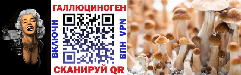 Купить закладки  Лысьва  Псилоцибиновые грибы Magic Shrooms 